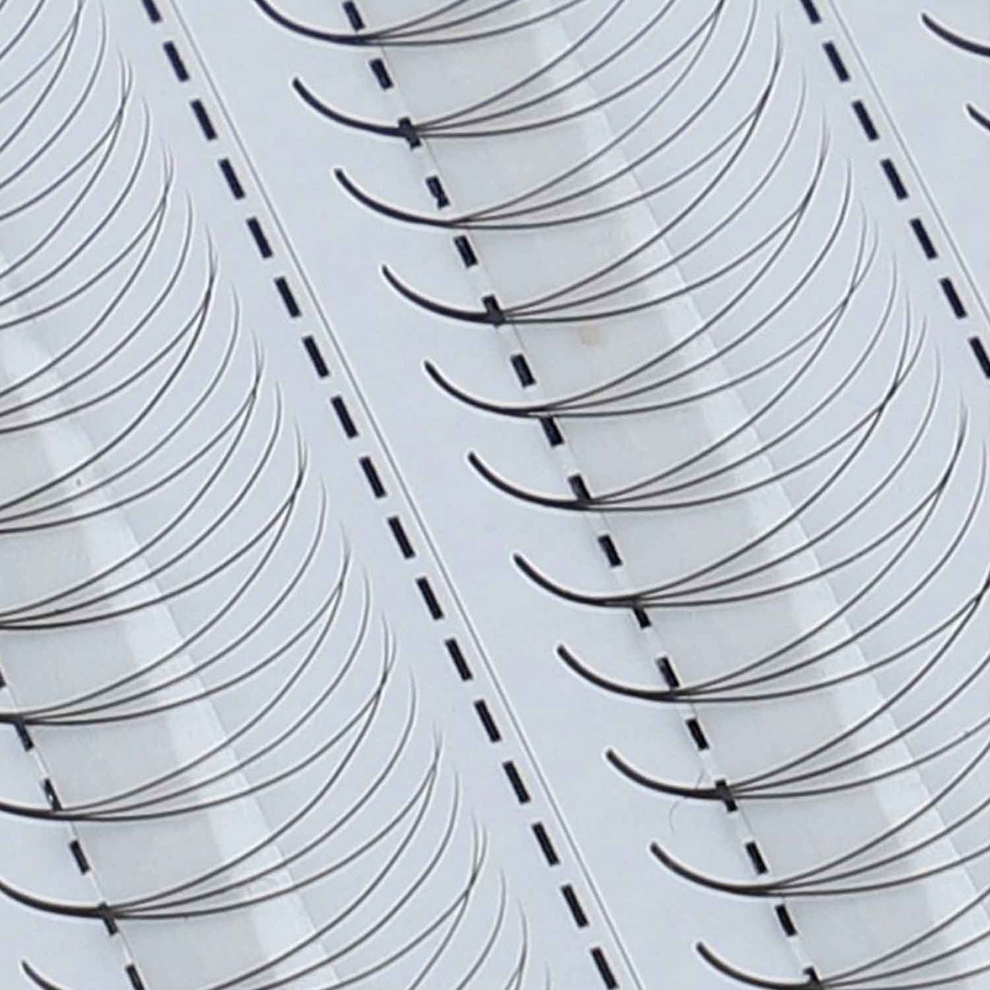 Fertige-Wimpernfcher5_Xtreme_Lashes