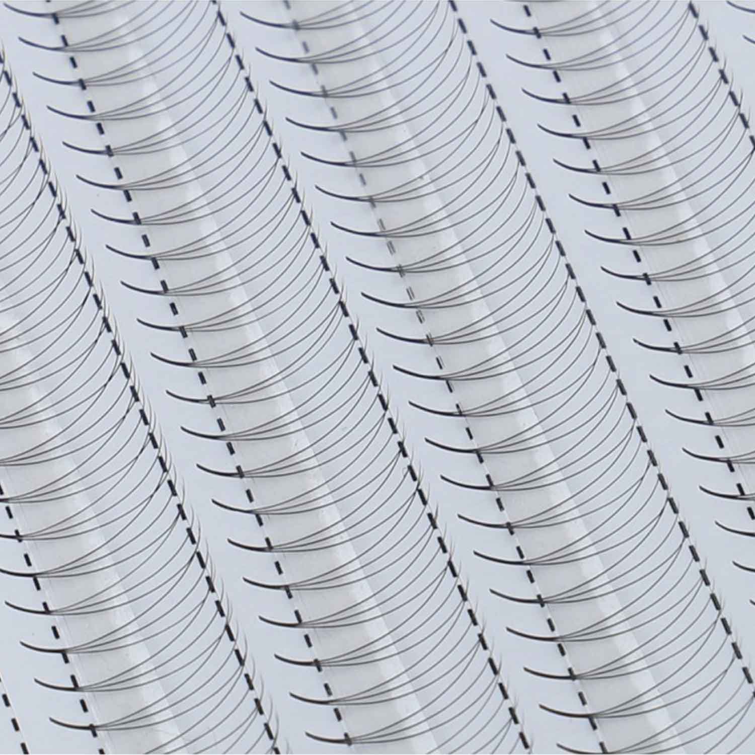 Fertige Wimpernfächer 6D auf der man die sauberen Ansaetze der Wimpern sieht.