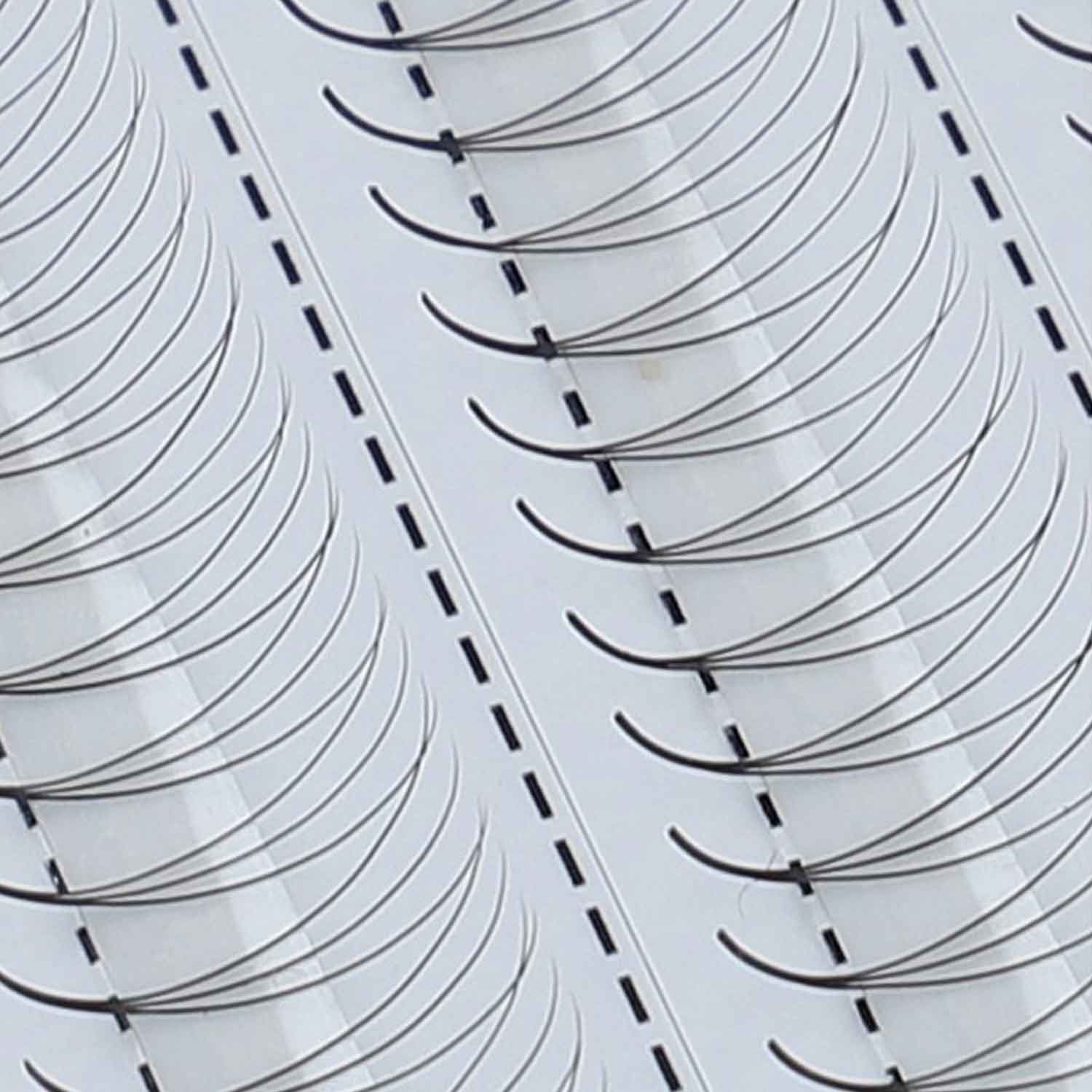 Fertige Wimpernfächer 6D Großaufnahme von in einer Wimpernbox