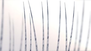 Wimperserum Xtreme Lashes