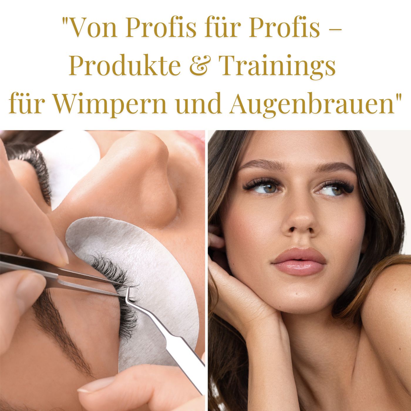 Produkte und Trainings für Profis